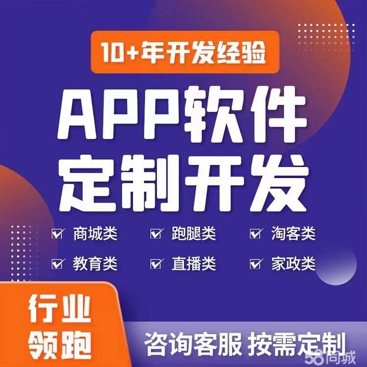 游戏软件定制